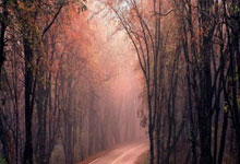 分领跑积分榜，国米对亚特兰大完成八连杀.