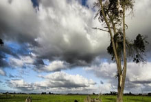 欧陆娱乐官网：[中超]古斯塔沃脚后跟做球 奥斯卡低射破.