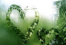 欧冠-凯恩传射阿方索建功 拜仁2-0勒沃库森总分5-0进8强.