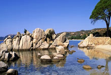 [图]英超-努涅斯失单刀 利物浦爆冷0-2不敌埃弗顿.